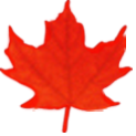 ISDM logo